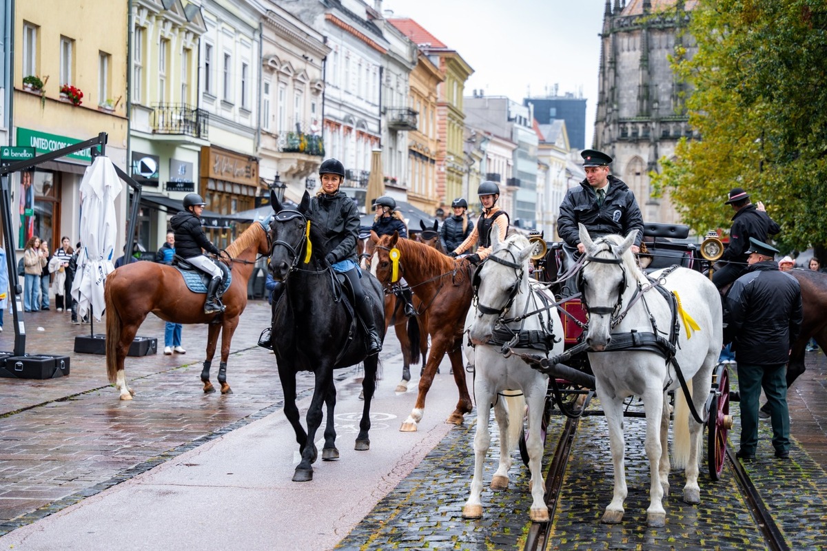 FOTO: Košicami viedol sprievod koní v rámci Hubertovej jazdy, foto 12