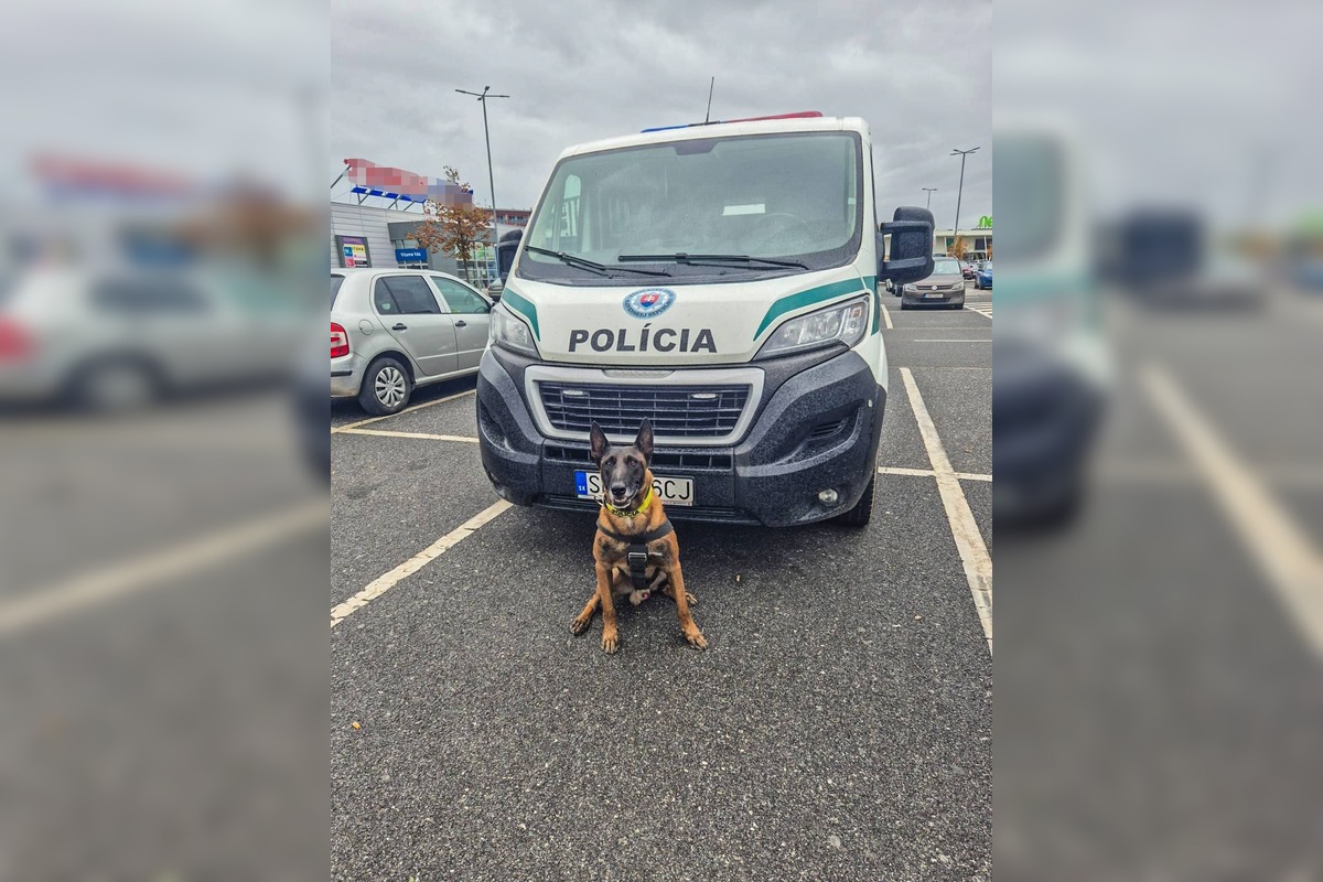 FOTO: Policajti dohliadali na bezpečnosť vo viacerých obchodoch v Košickom kraji, foto 3