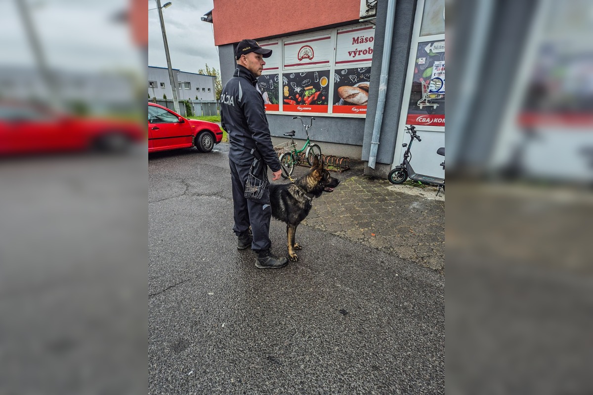 FOTO: Policajti dohliadali na bezpečnosť vo viacerých obchodoch v Košickom kraji, foto 5