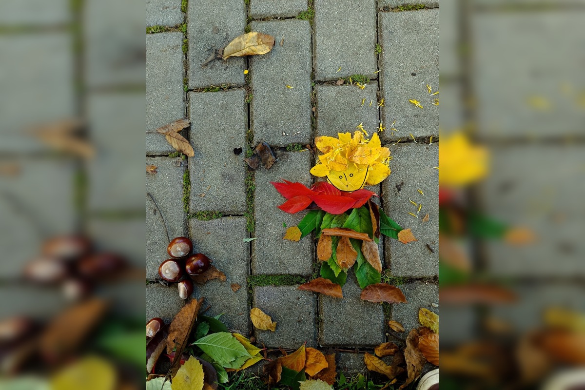 FOTO: Úkazy z lístia bavia celé Slovensko, ľudia sa predbiehajú v nápadoch, foto 2