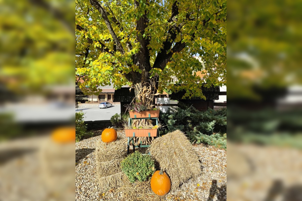 FOTO: Jesenná výzdoba v Košickom kraji, foto 23