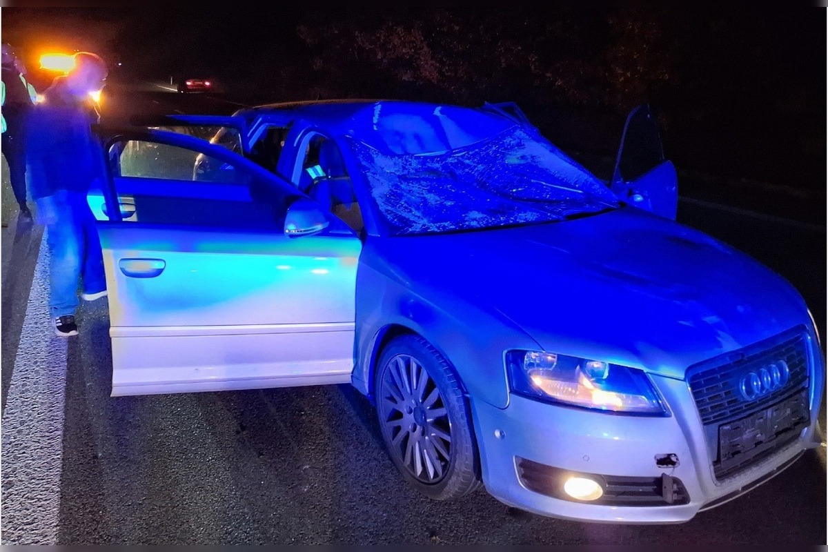 FOTO: Zrážka auta s losom za Košickou Novou Vsou, foto 2