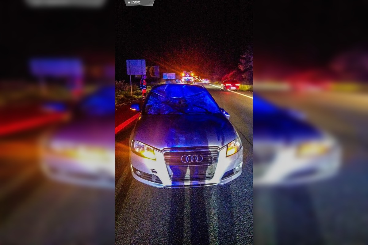 FOTO: Zrážka auta s losom za Košickou Novou Vsou, foto 3