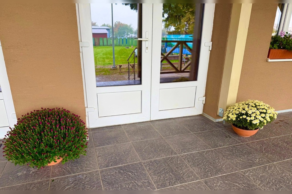 FOTO: Obecný úrad v Zalužiciach zdobia chryzantémy, ktoré darovala rodina, foto 9