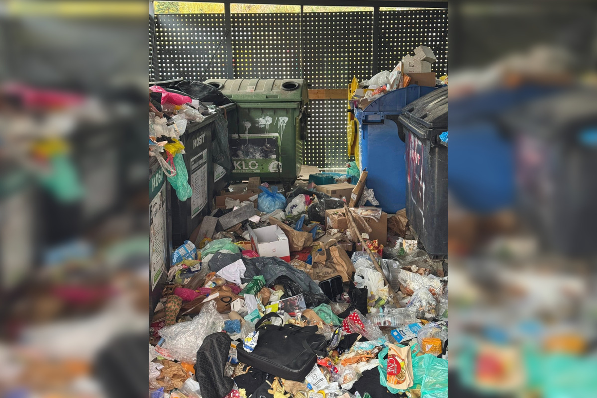 FOTO: Takýto masaker objavili Terasania v kontajnerovisku na Muškátovej ulici, foto 1