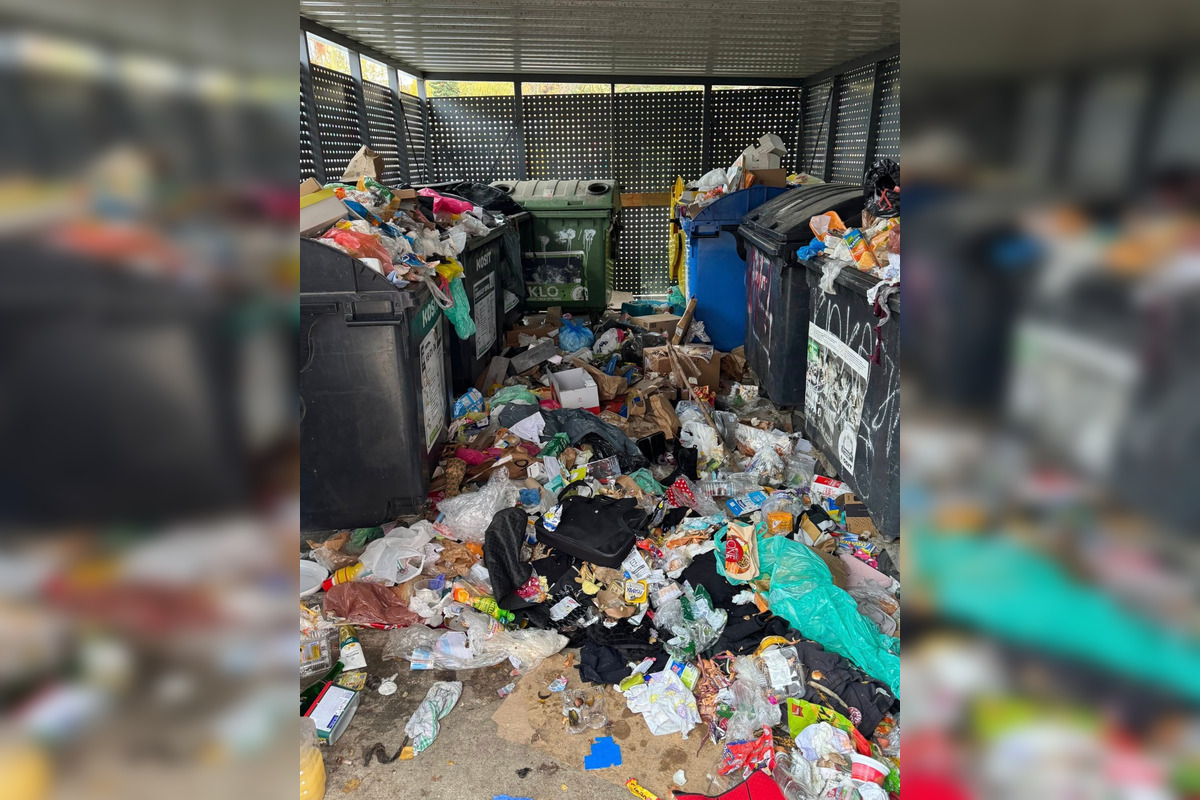 FOTO: Takýto masaker objavili Terasania v kontajnerovisku na Muškátovej ulici, foto 2