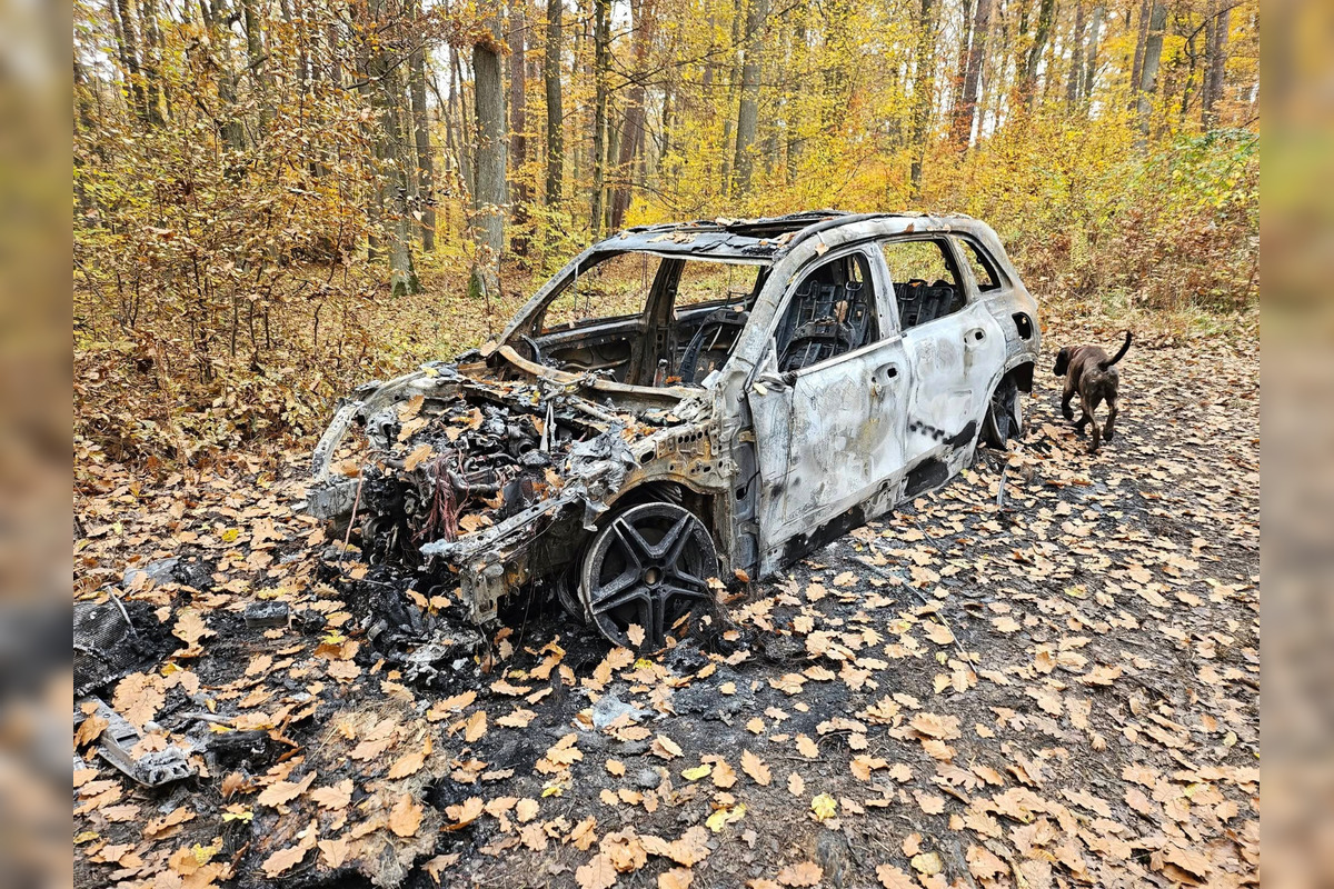 FOTO: Uprostred lesa v blízkosti Malej Idy smerom na Bukovec objavili turisti do tla zhorené auto, foto 4