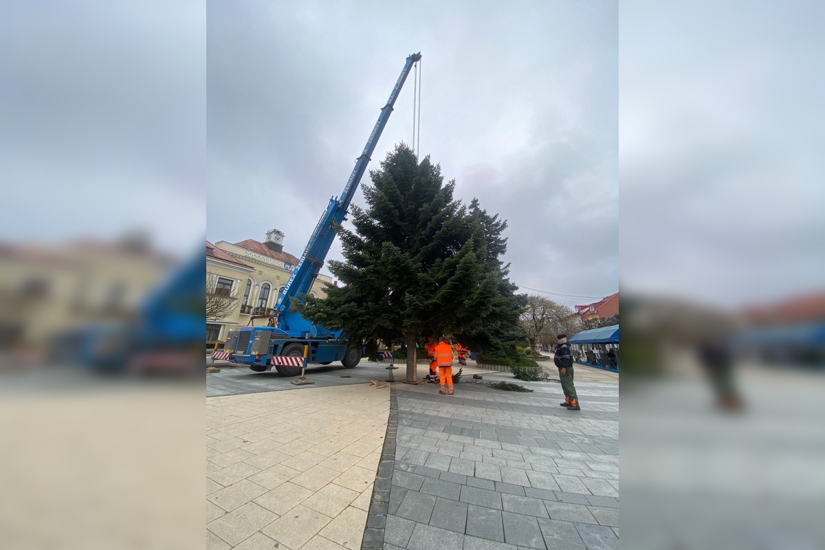 FOTO: Do Michaloviec dorazil vianočný stromček, foto 2
