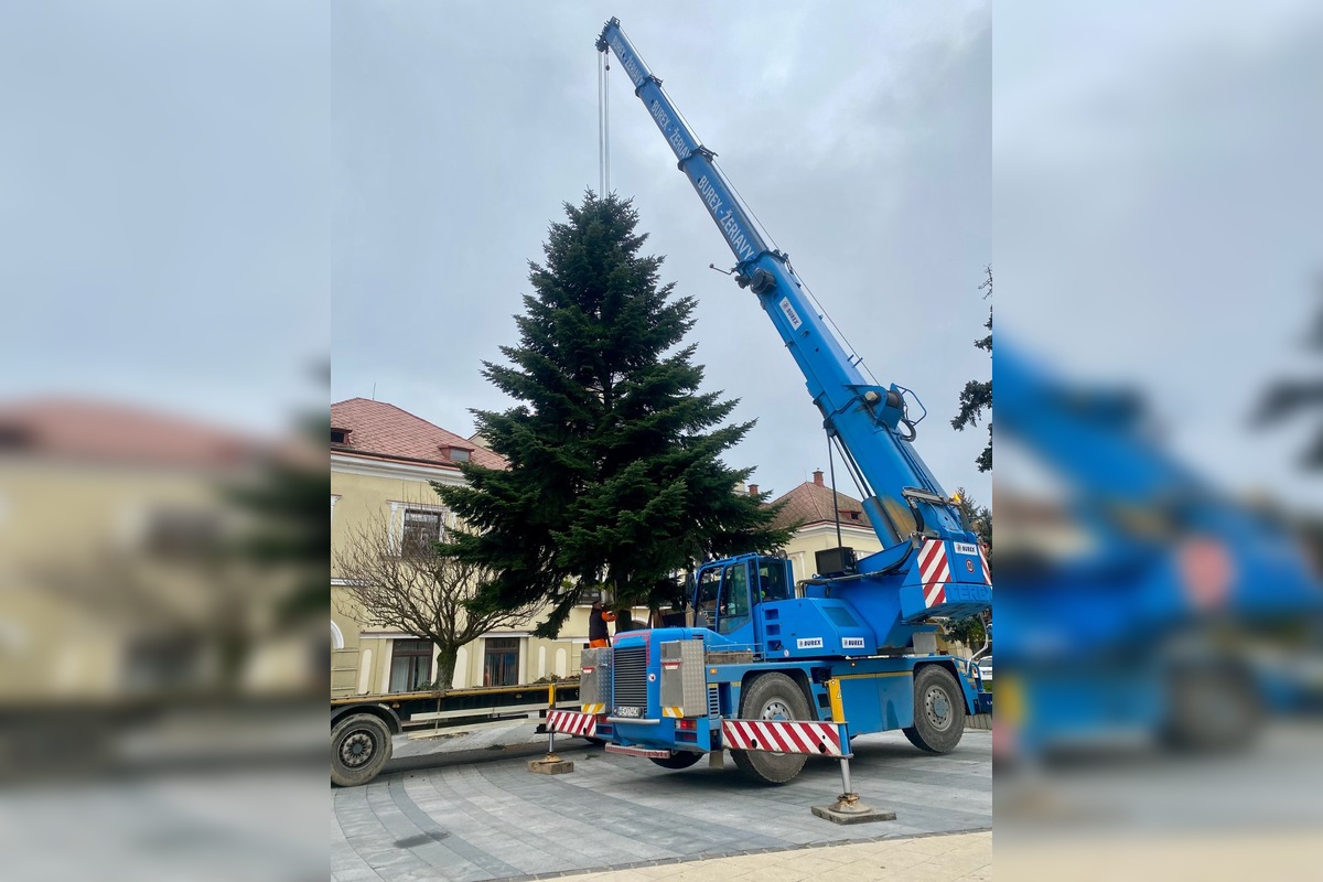 FOTO: Do Michaloviec dorazil vianočný stromček, foto 5