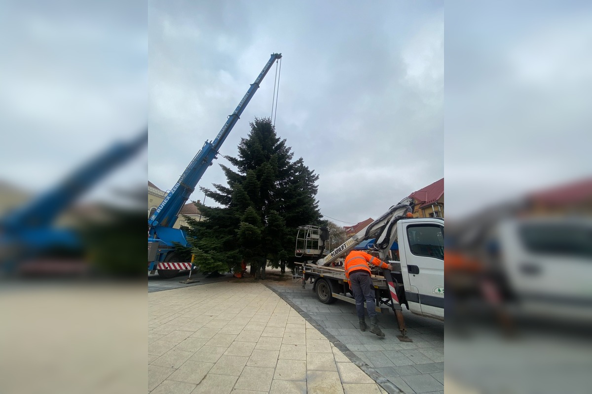 FOTO: Do Michaloviec dorazil vianočný stromček, foto 7