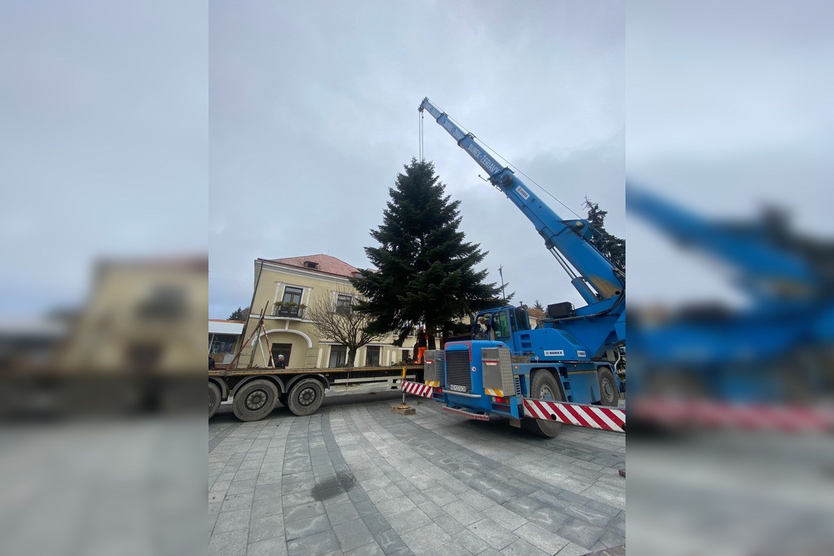 FOTO: Do Michaloviec dorazil vianočný stromček, foto 8