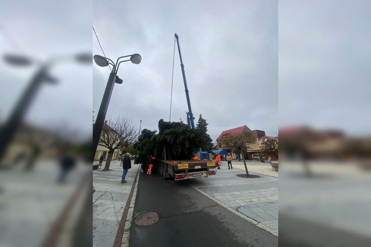 FOTO: Do Michaloviec dorazil vianočný stromček, foto 9