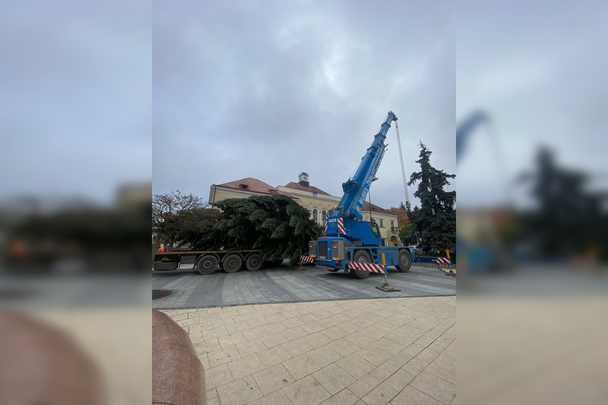 FOTO: Do Michaloviec dorazil vianočný stromček, foto 12
