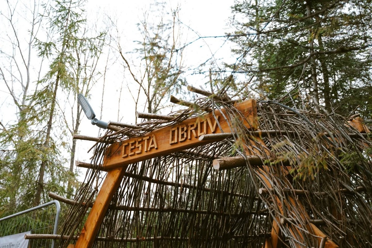 FOTO: Obri v raji, foto 11