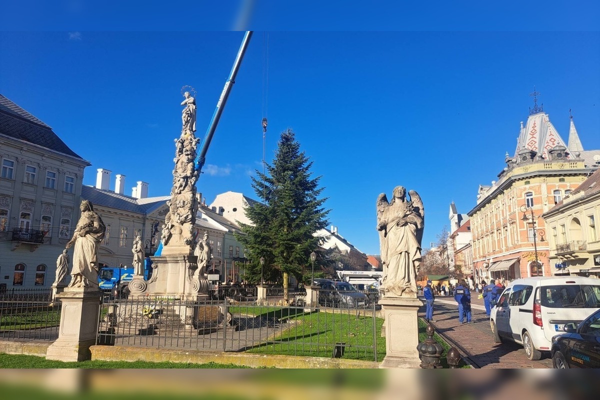 FOTO: V Košiciach už stoja prvé vianočné stromčeky, foto 9