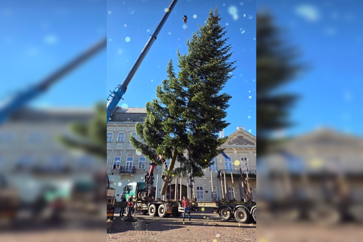 FOTO: V Košiciach už stoja prvé vianočné stromčeky, foto 3