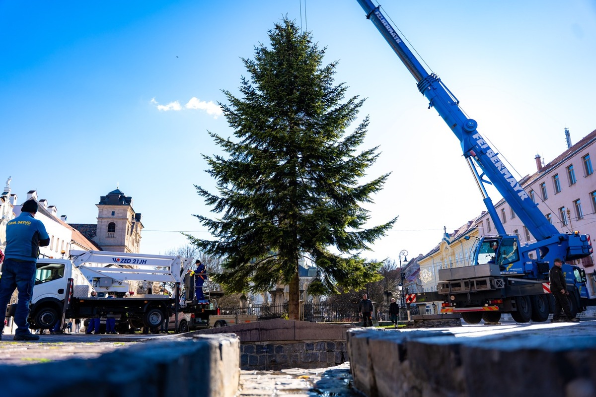 FOTO: V Košiciach už stoja prvé vianočné stromčeky, foto 5