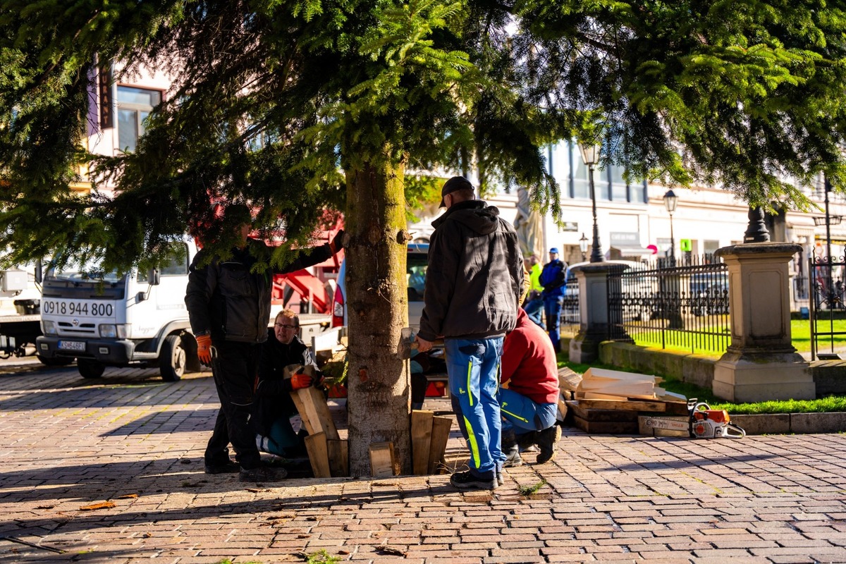 FOTO: V Košiciach už stoja prvé vianočné stromčeky, foto 6