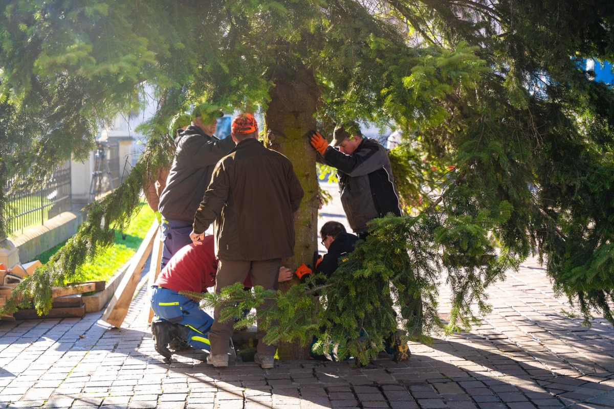 FOTO: V Košiciach už stoja prvé vianočné stromčeky, foto 8