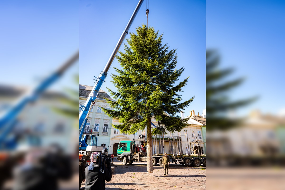 FOTO: V Košiciach už stoja prvé vianočné stromčeky, foto 4
