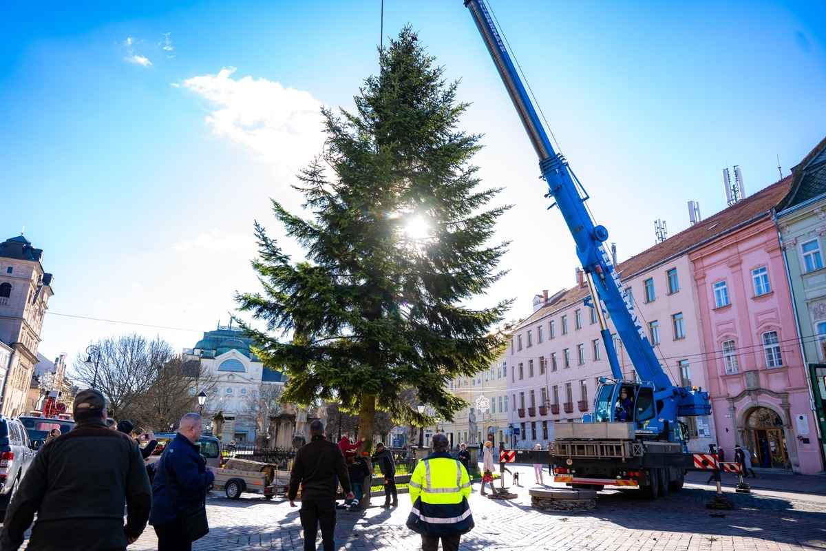 FOTO: V Košiciach už stoja prvé vianočné stromčeky, foto 1