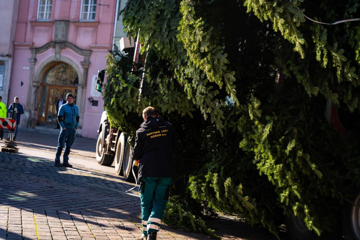 FOTO: V Košiciach už stoja prvé vianočné stromčeky, foto 11