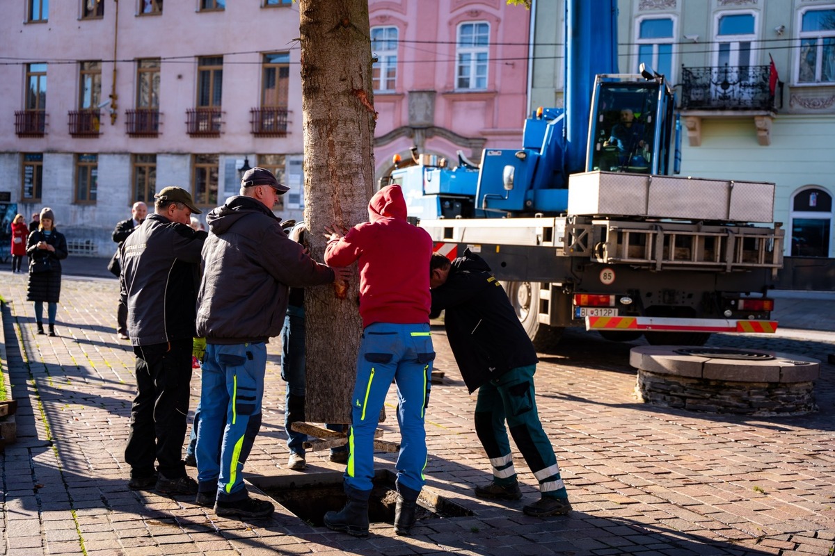 FOTO: V Košiciach už stoja prvé vianočné stromčeky, foto 12
