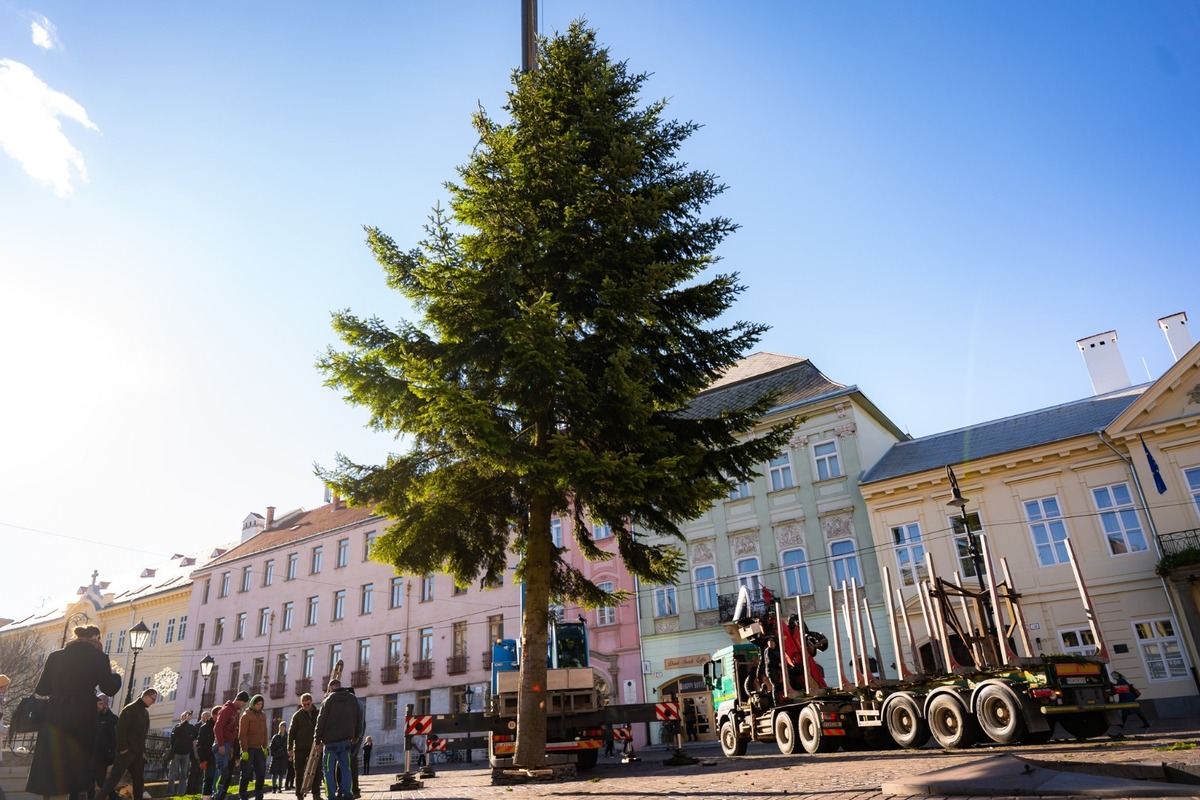 FOTO: V Košiciach už stoja prvé vianočné stromčeky, foto 2