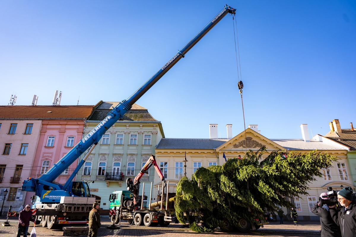 FOTO: V Košiciach už stoja prvé vianočné stromčeky, foto 13