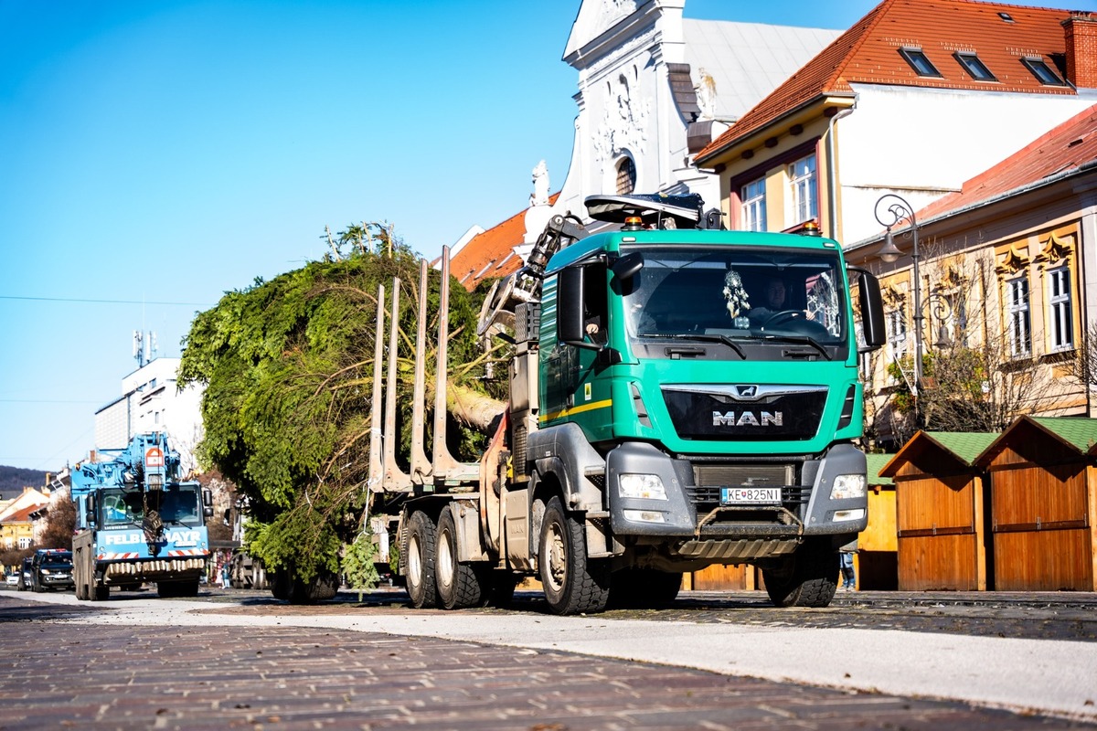 FOTO: V Košiciach už stoja prvé vianočné stromčeky, foto 15