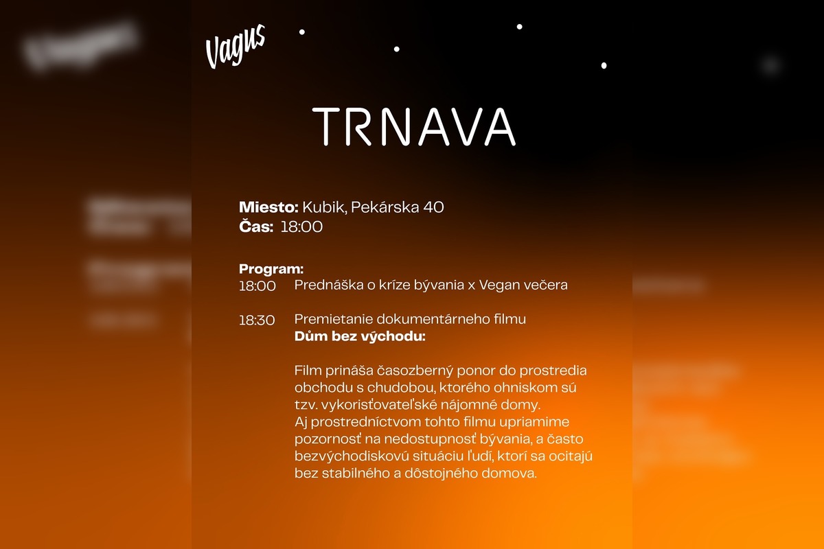 FOTO: Sprievodný program v rámci iniciatívy Noc vonku, foto 3