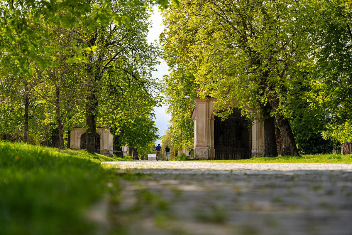 FOTO: Mesto Košice sa podelilo so skvelou správou, na obnovu Kalvárie prispeje aj neziskovka , foto 1