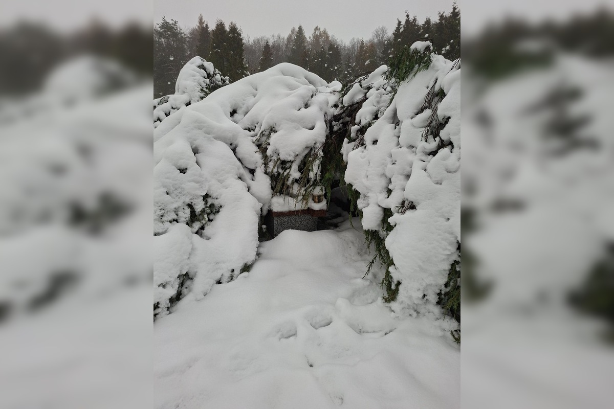 FOTO: Situácia na košickom Krematóriu, foto 10