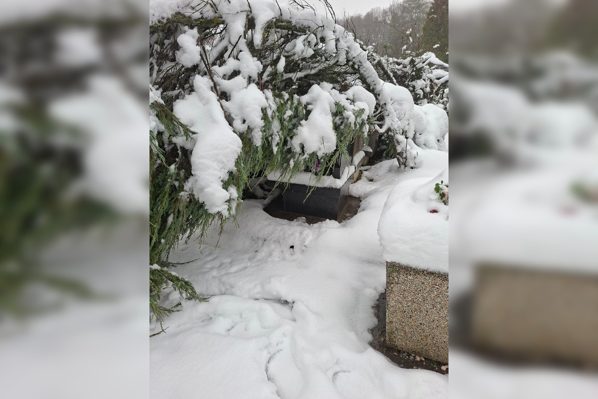 FOTO: Situácia na košickom Krematóriu, foto 11