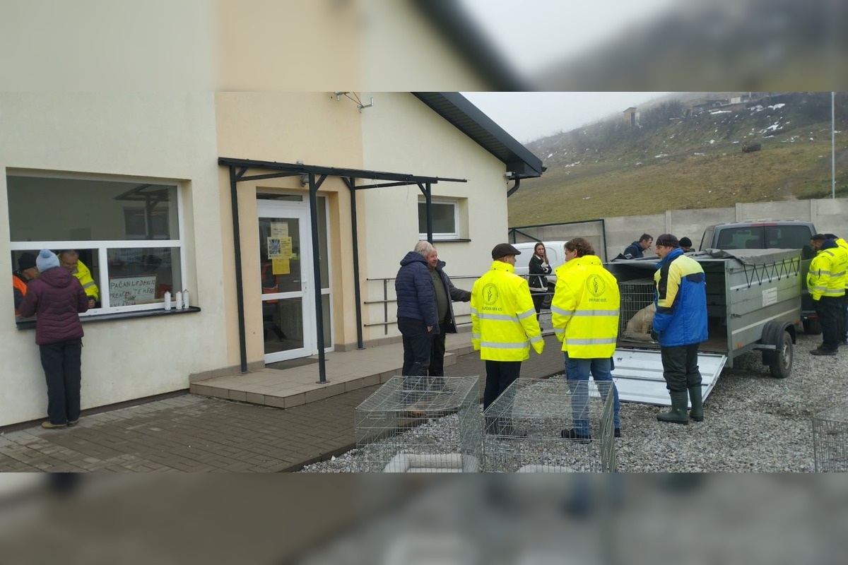 FOTO: V Markušovciach odchytávali a očkovali túlavé psy, foto 7