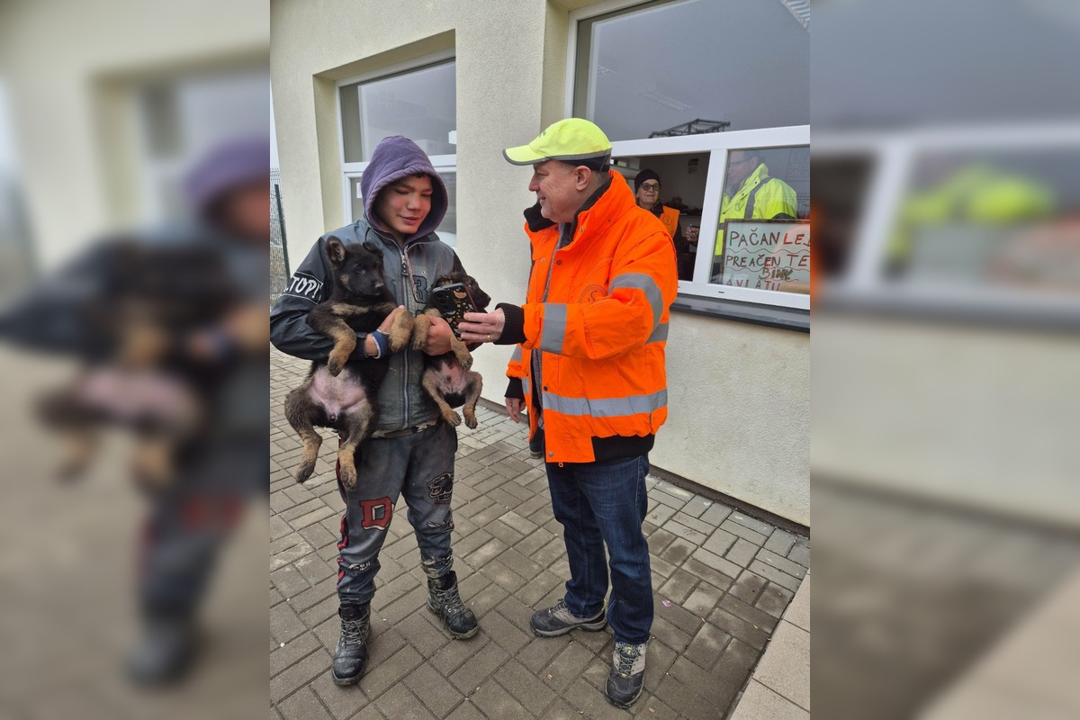 FOTO: V Markušovciach odchytávali a očkovali túlavé psy, foto 15