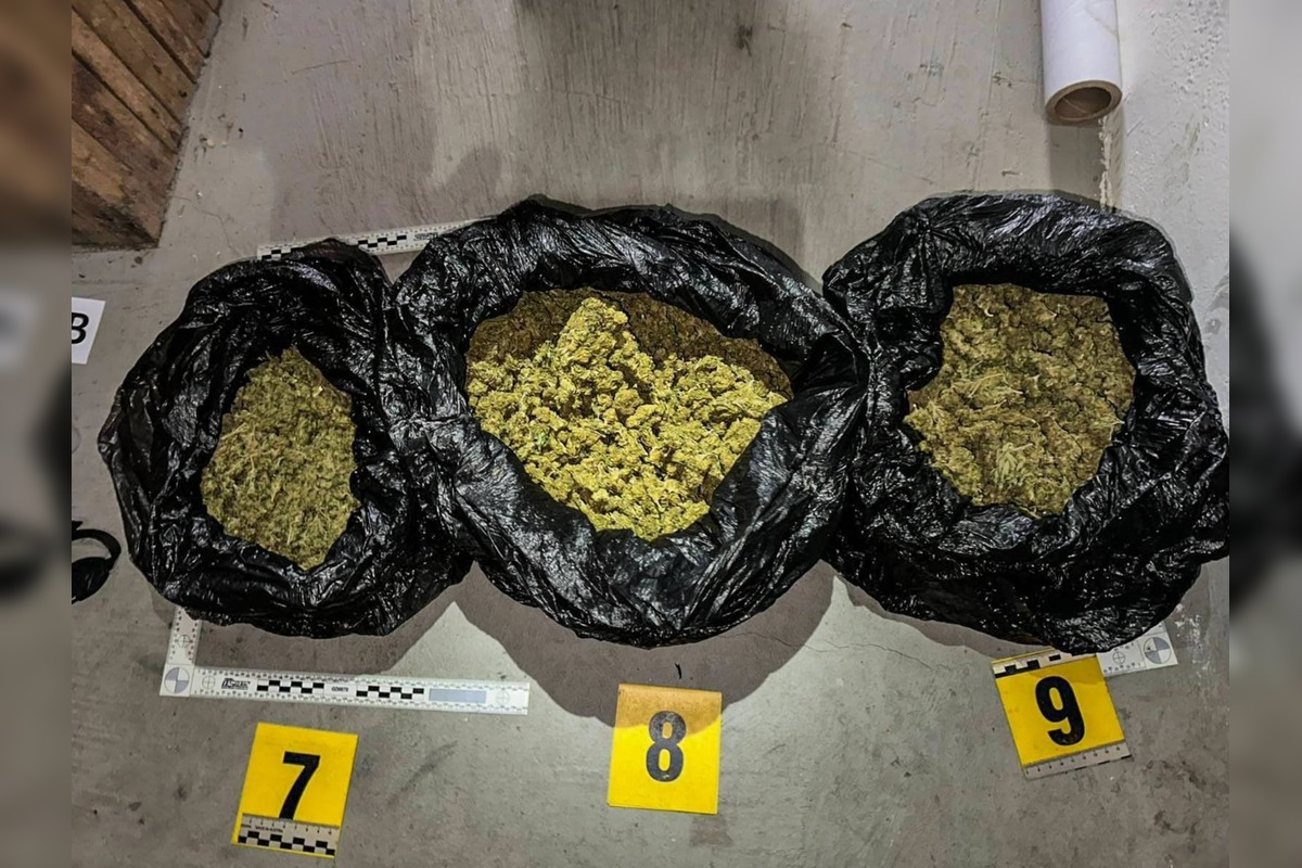 FOTO: Kriminalisti zo Spišskej Novej Vsi vykonali akciu zameranú proti drogovej trestnej činnosti, foto 2