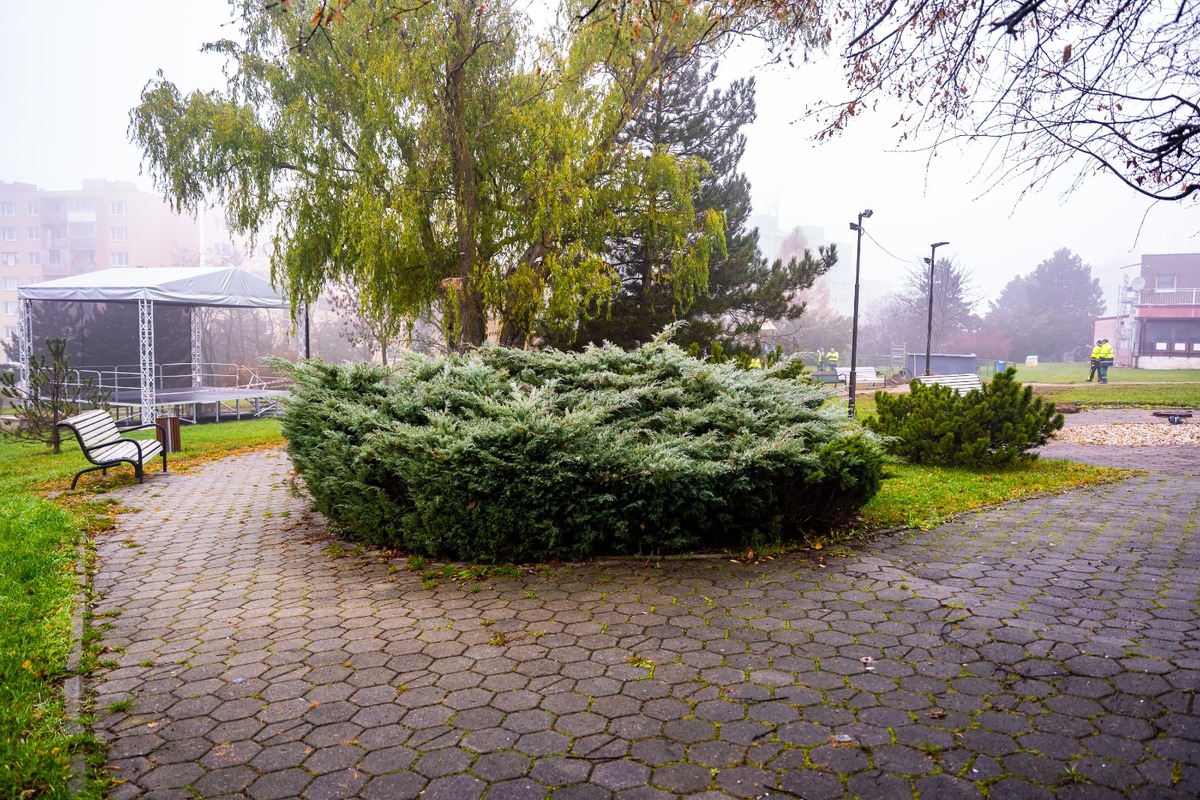 FOTO: Parky na Furči čaká revitalizácia, foto 1