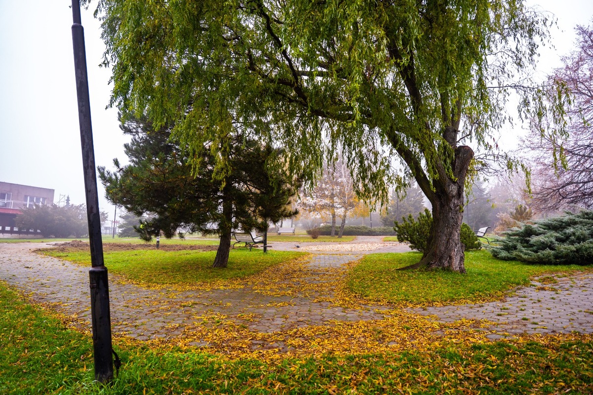 FOTO: Parky na Furči čaká revitalizácia, foto 2