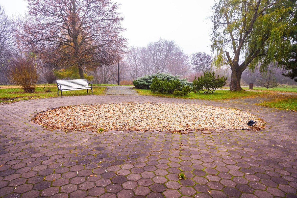 FOTO: Parky na Furči čaká revitalizácia, foto 3