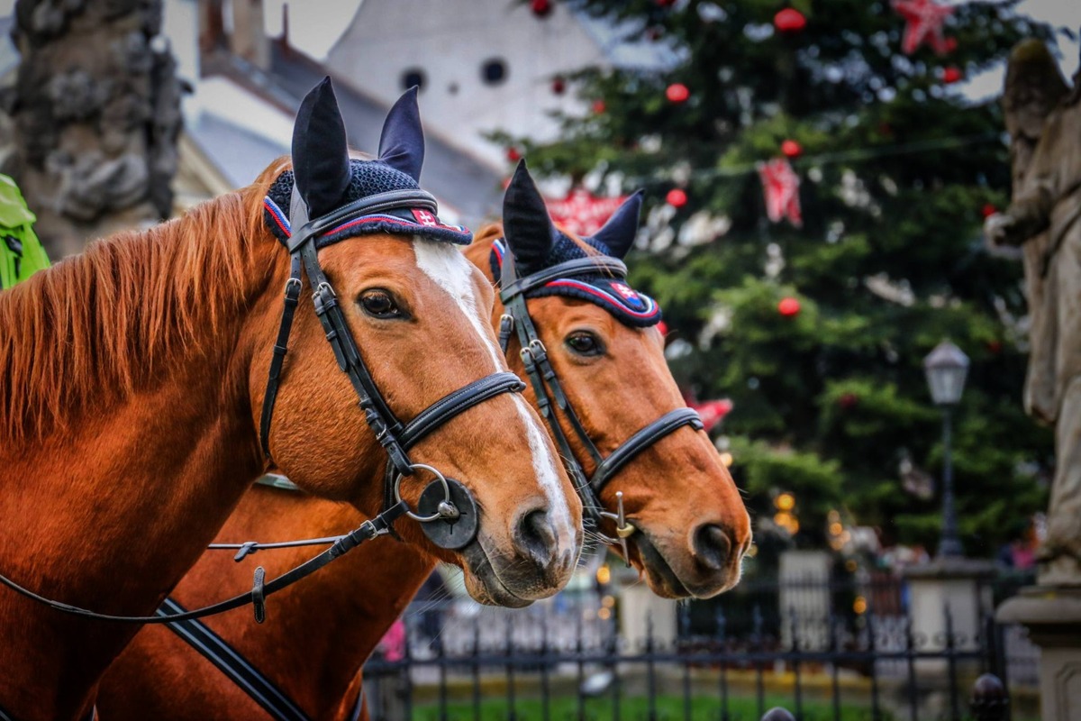 FOTO: Na košických vianočných trhoch hliadkujú policajti, foto 2