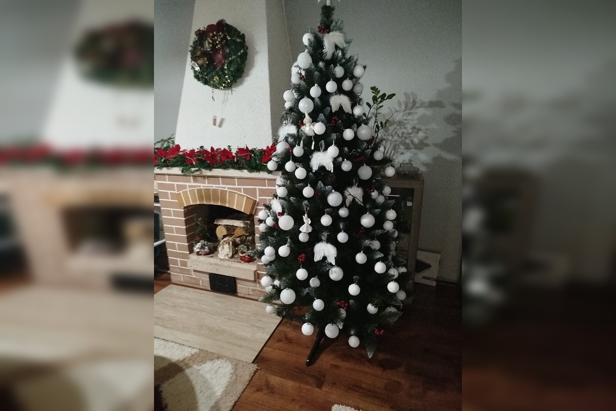 FOTO: Vianočné stromčeky našich čitateľov, foto 2