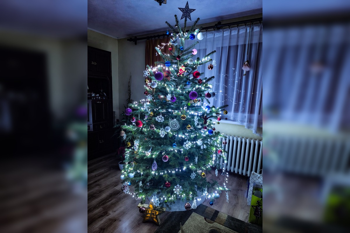 FOTO: Vianočné stromčeky našich čitateľov, foto 4