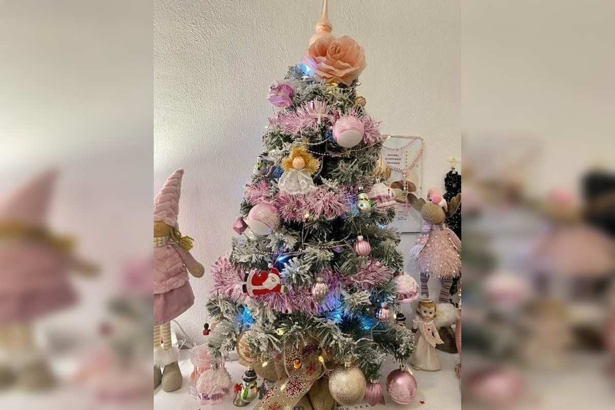 FOTO: Vianočné stromčeky našich čitateľov, foto 5