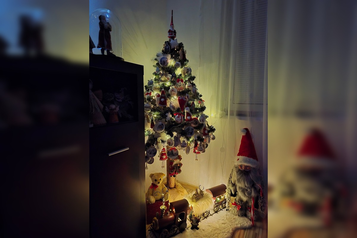 FOTO: Vianočné stromčeky našich čitateľov, foto 6