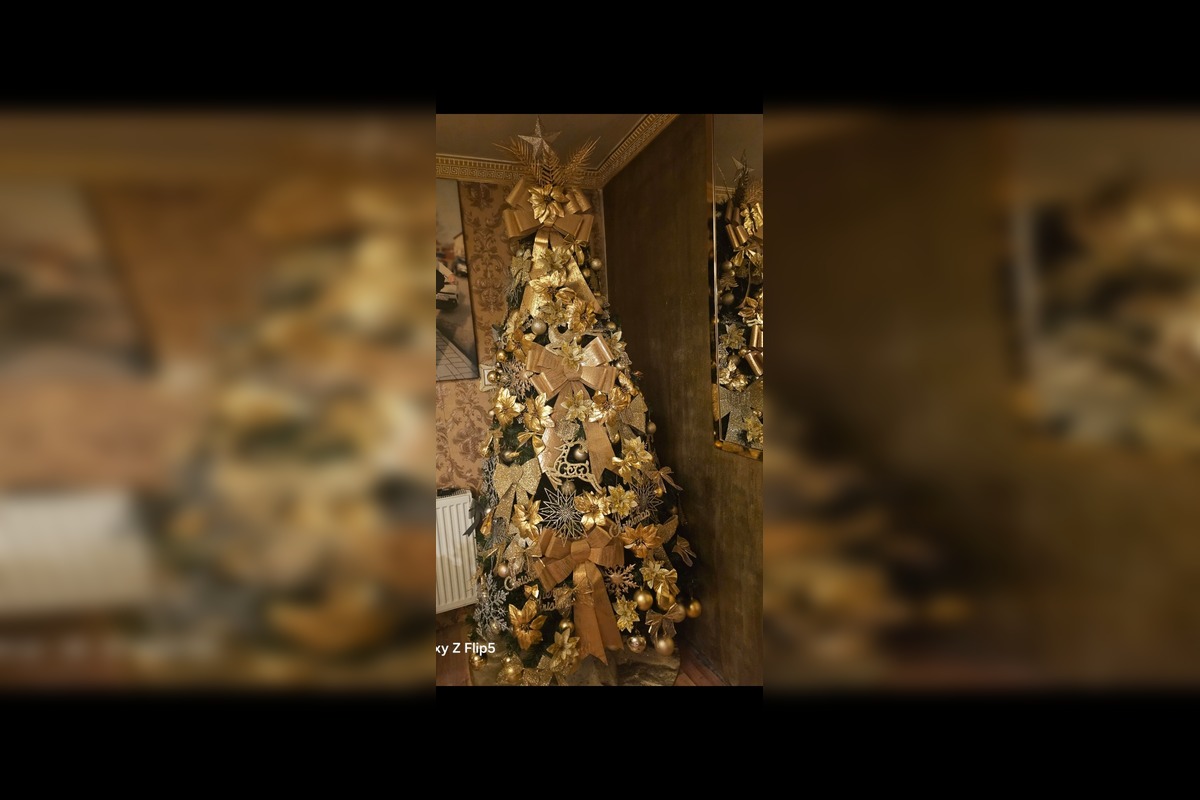 FOTO: Vianočné stromčeky našich čitateľov, foto 7