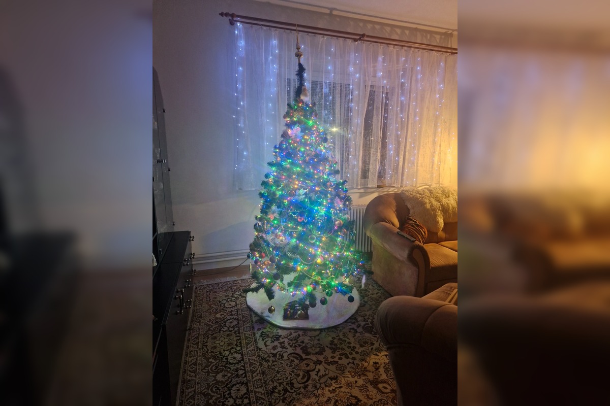 FOTO: Vianočné stromčeky našich čitateľov, foto 8