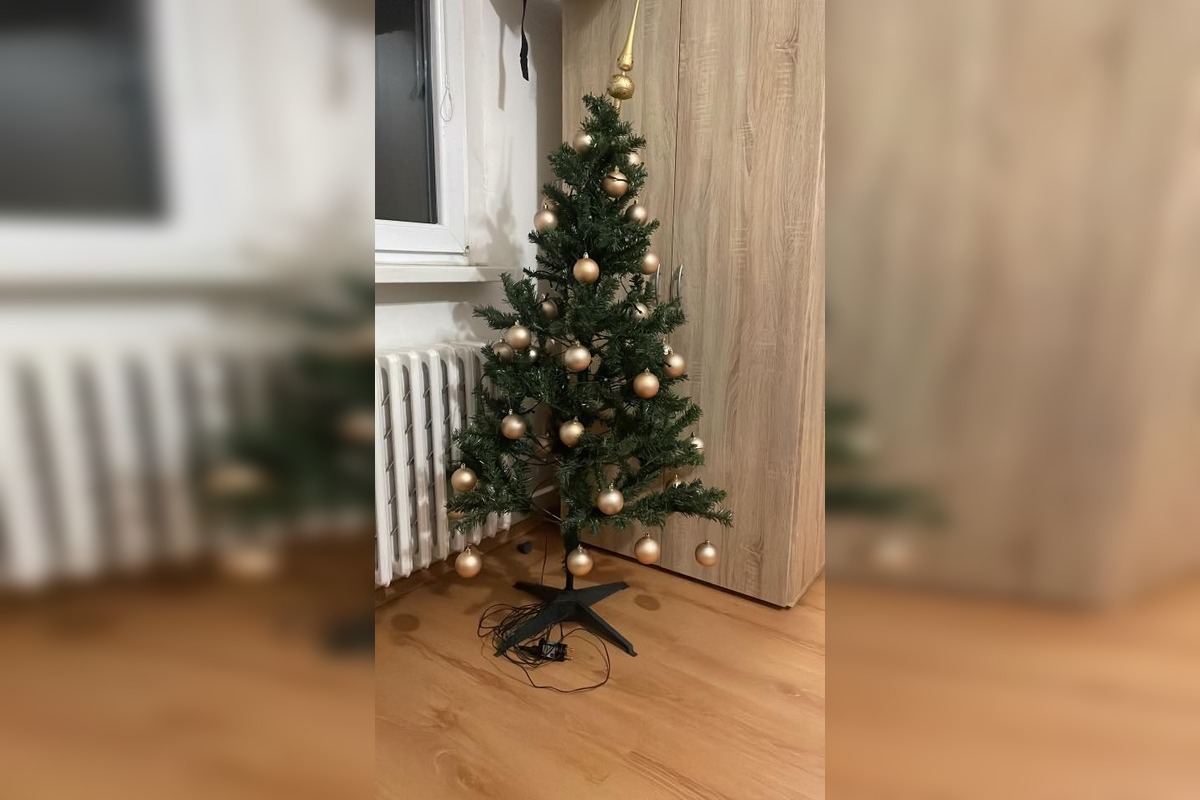 FOTO: Vianočné stromčeky našich čitateľov, foto 9