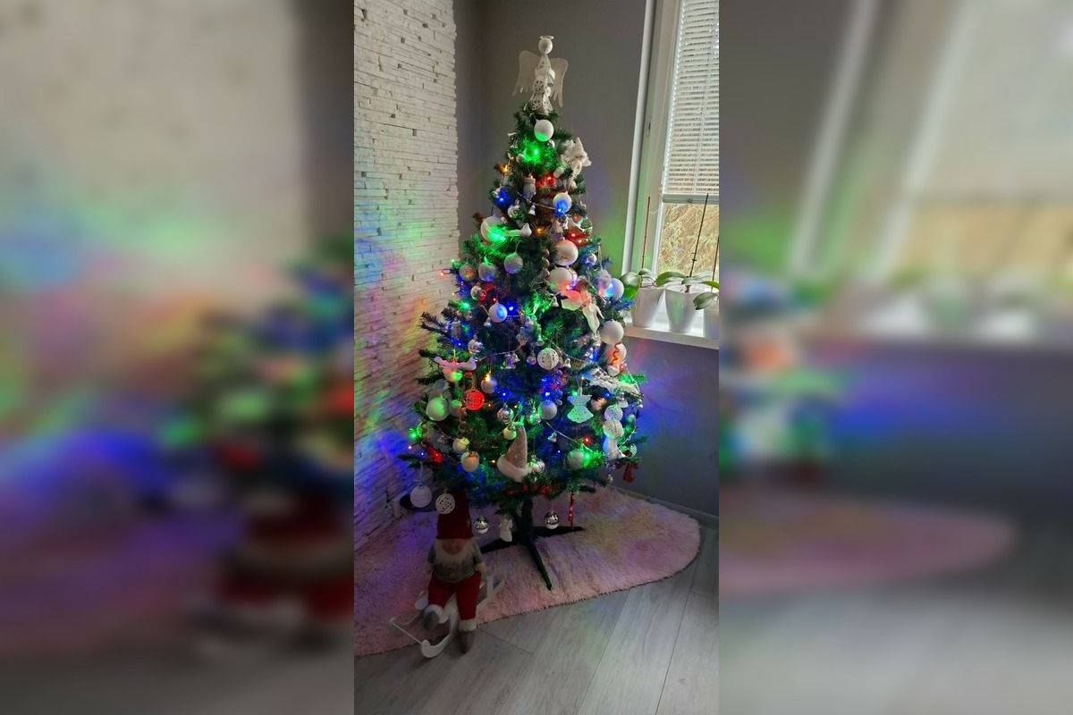 FOTO: Vianočné stromčeky našich čitateľov, foto 10