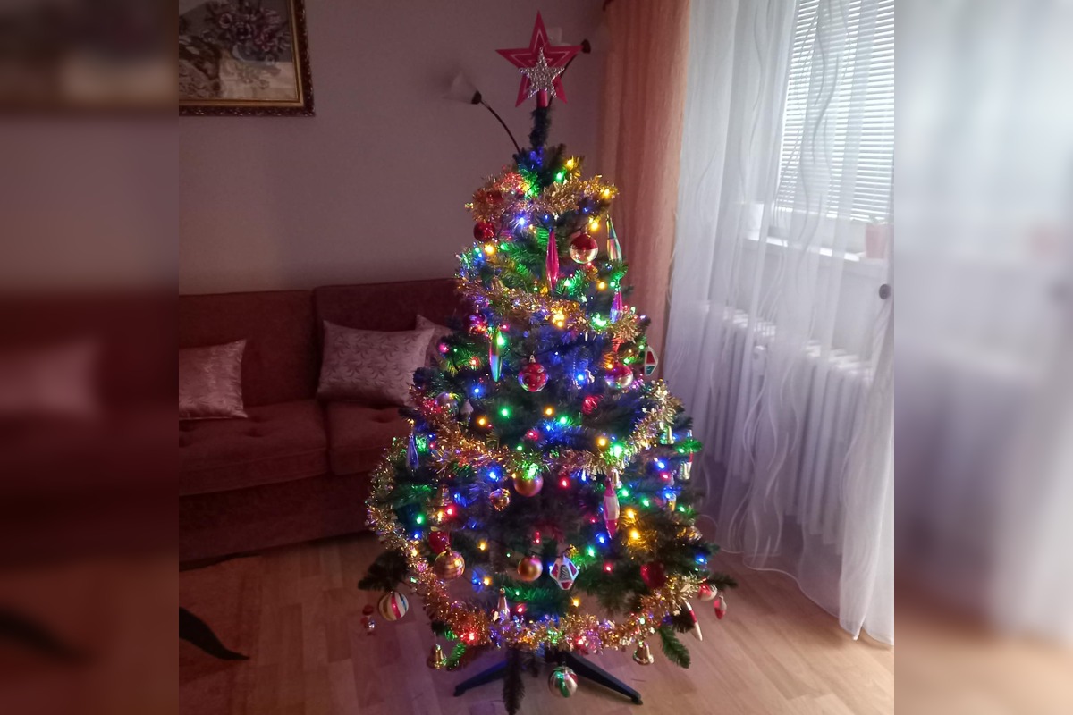 FOTO: Vianočné stromčeky našich čitateľov, foto 12